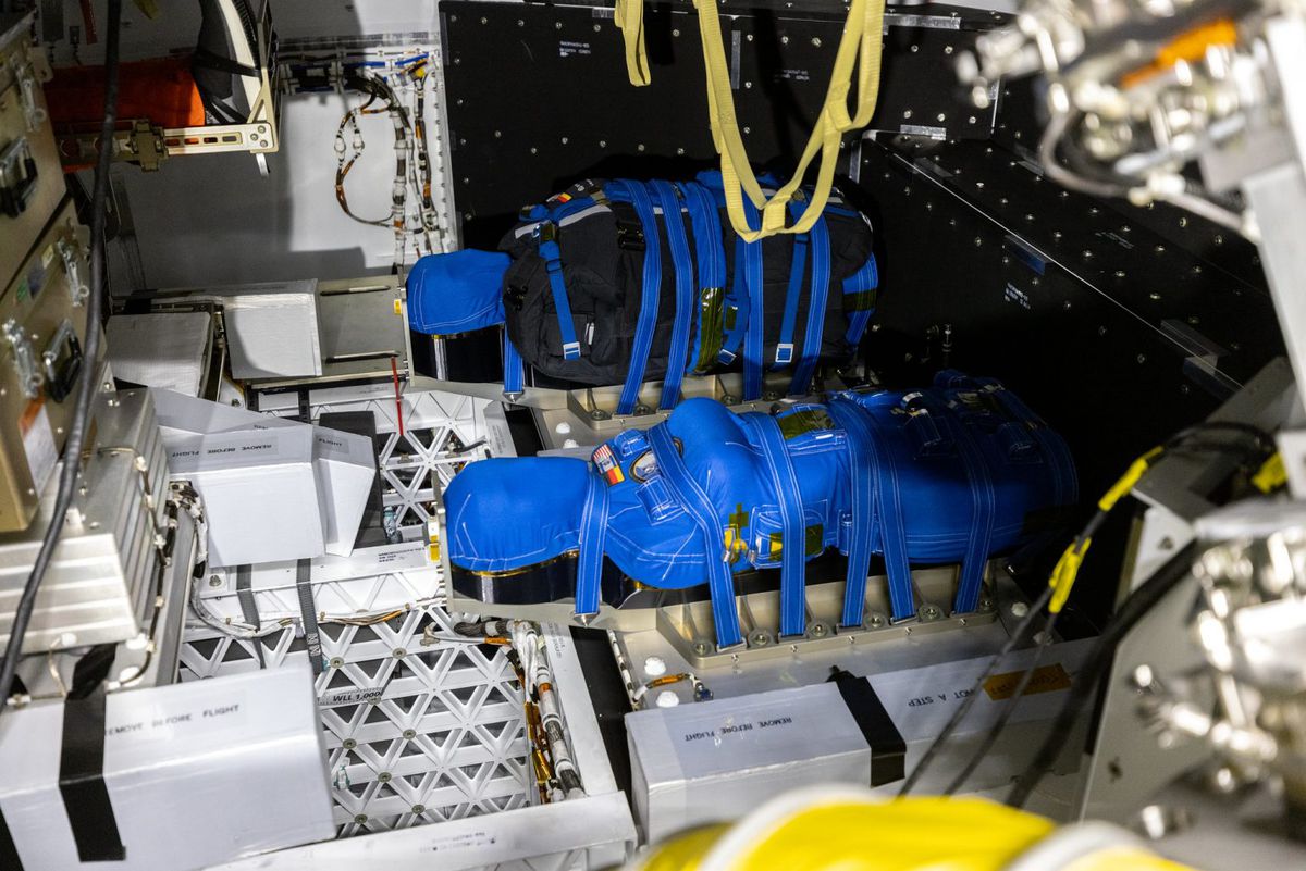 Two blue limbless mannequins strapped to benches inside an Orion capsule