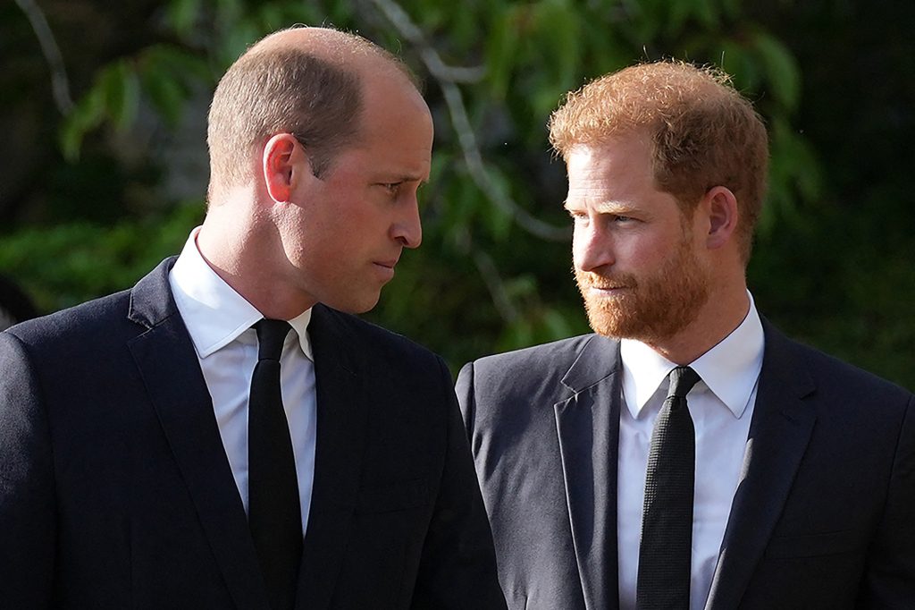 Prince William and Prince Harry seem to be staring at each other.