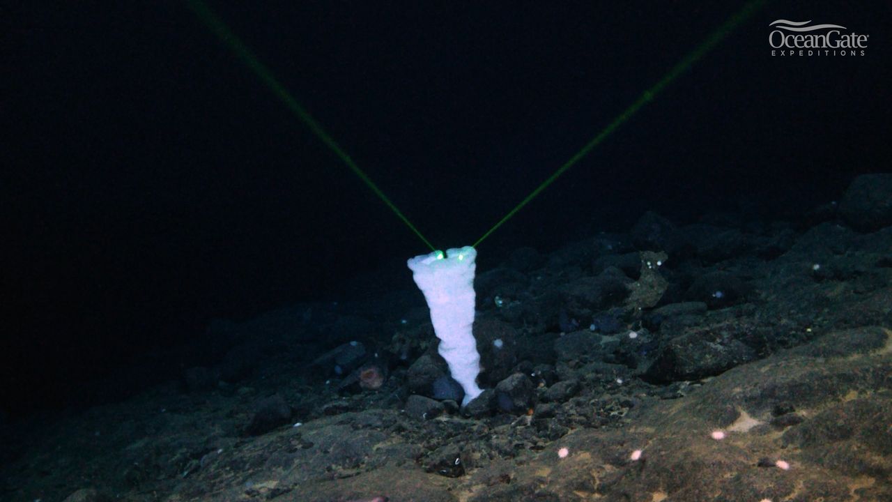 Detail from the Nargeolet-Fanning mountain range, near the wreck of the Titanic.